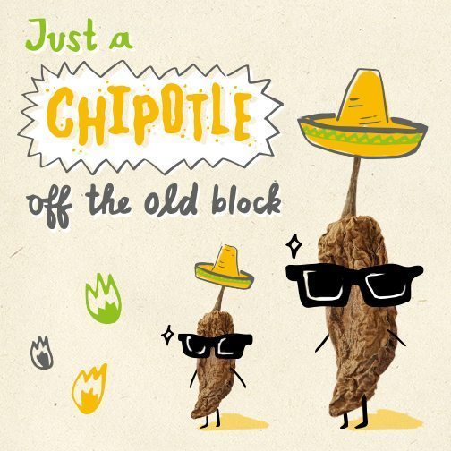 mexican chipotle illustration